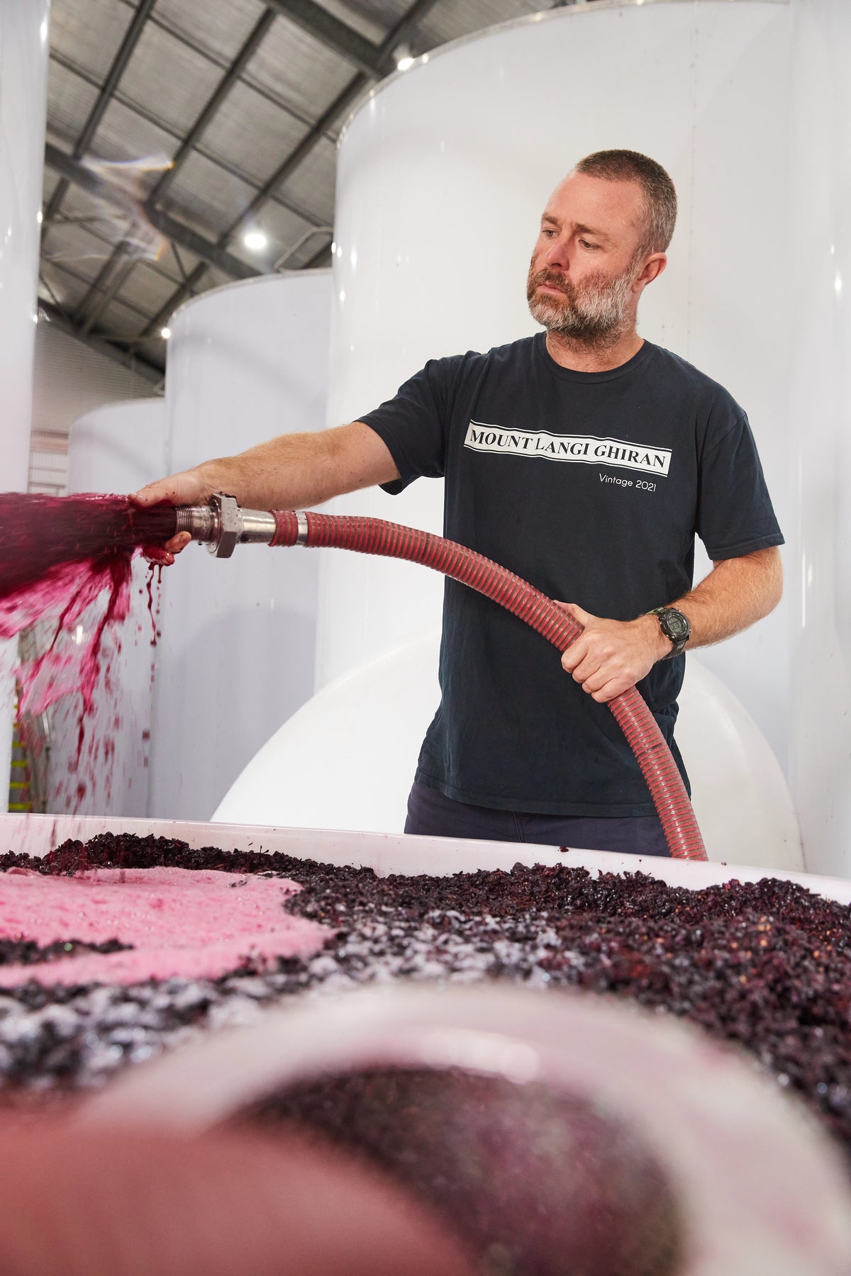 Winery team member in Mount Langi Ghiran shirt pumping red grape must into a vat