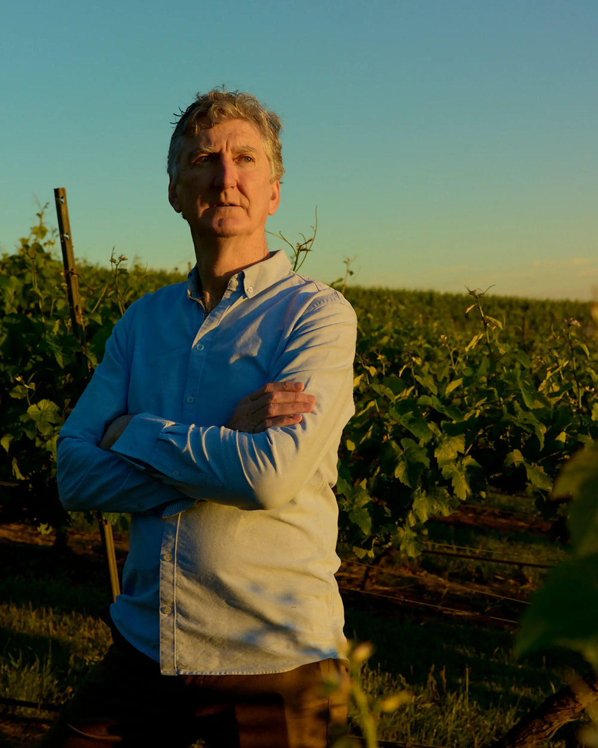 Portrait of Damien Sheehan, a member of the Mount Langi Ghiran team, standing in a vineyard at sunset