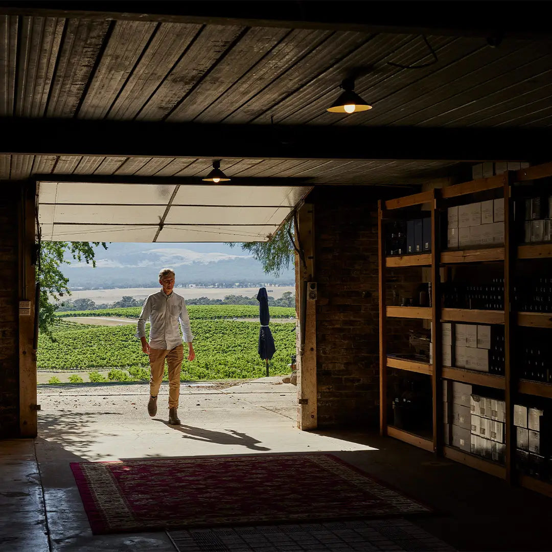 Man walking into a wine storage room from a sunlit vineyard doorway