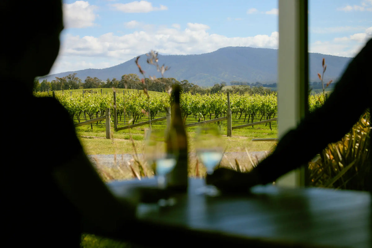 Silhouetted guests seated at a table overlooking the vineyard through a window, with wine glasses in view