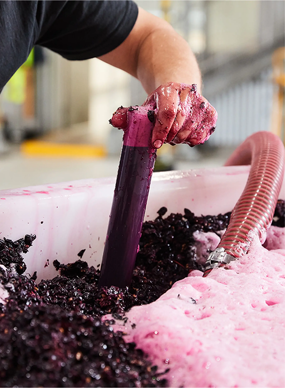 Close-up of a hand plunging grape must during a red wine fermentation punch-down