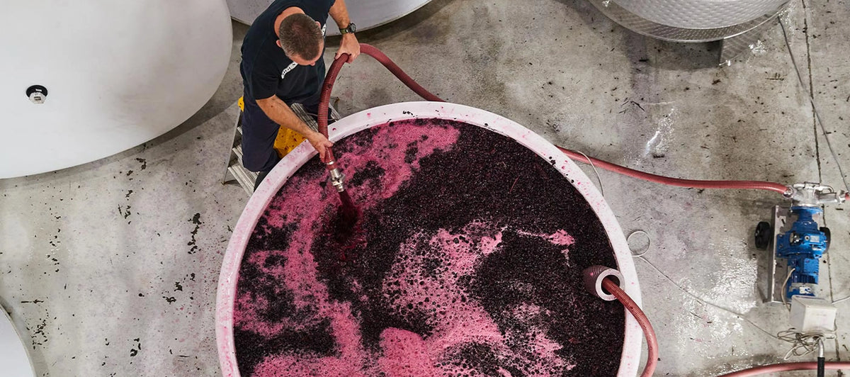 Aerial view of a winery worker pushing down the cap during red wine fermentation